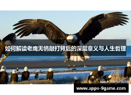 如何解读老鹰无情敲打背后的深层意义与人生哲理