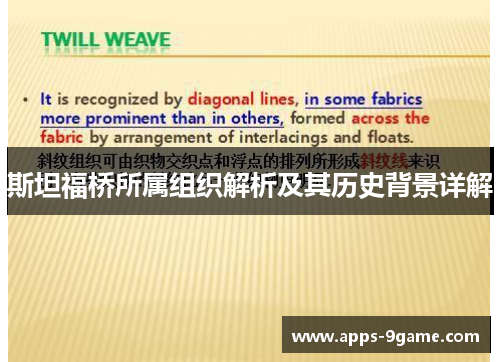 斯坦福桥所属组织解析及其历史背景详解