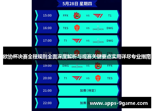 欧协杯决赛全程规则全面深度解析与观赛关键要点实用详尽专业指南
