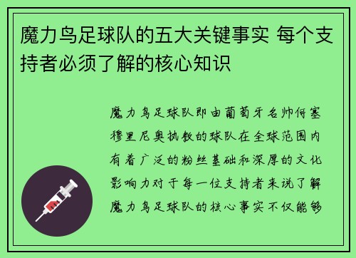 魔力鸟足球队的五大关键事实 每个支持者必须了解的核心知识